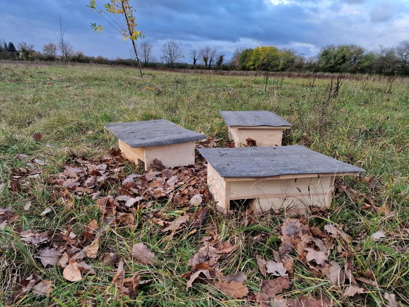 Geländetag Schloss Stutensee 2023