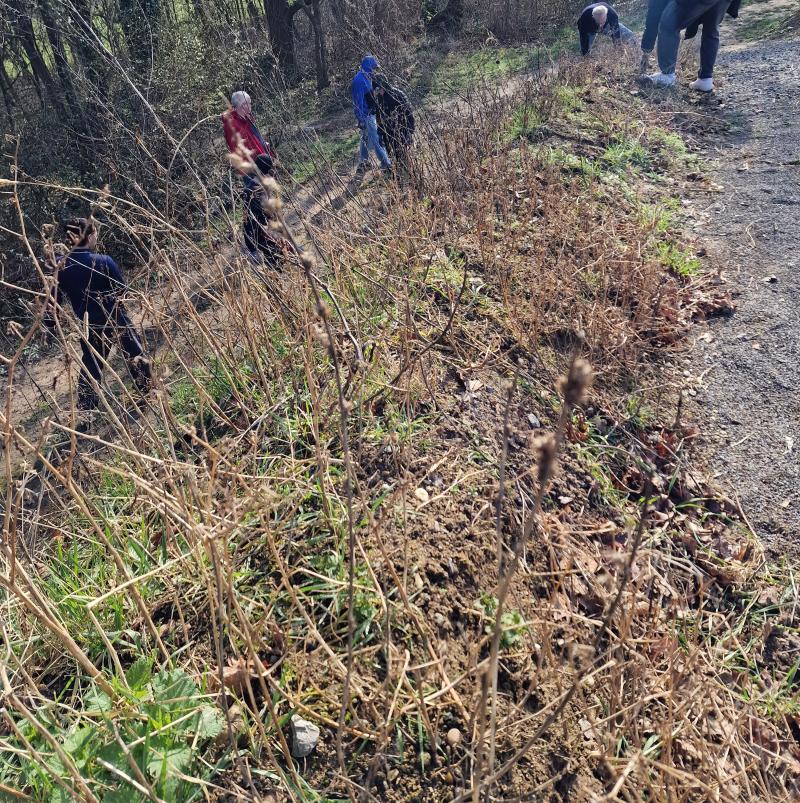 Der wilde Amarant wird von unserem Streckenrand entfernt