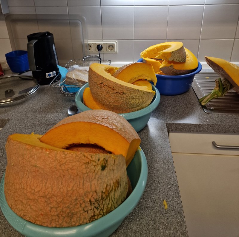 Stück für Stück wurde der Kürbis geteilt, damit er weiter im Kochunterricht verarbeitet werden kann