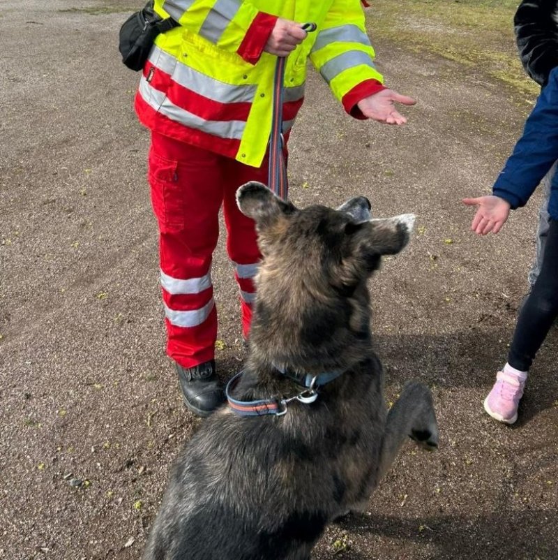 Die tierischen Besucher waren ein großes Highlight.